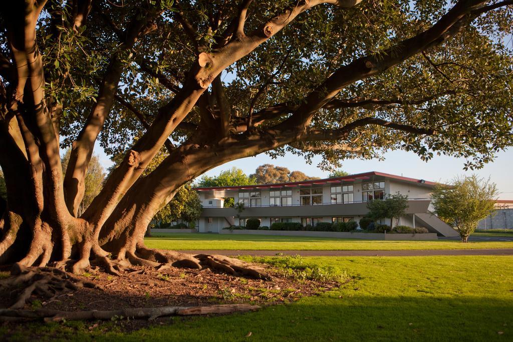 Kennedy Park Resort Napier Eksteriør bilde